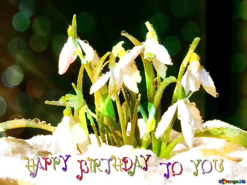 happy birthday background Spring flowers №38396