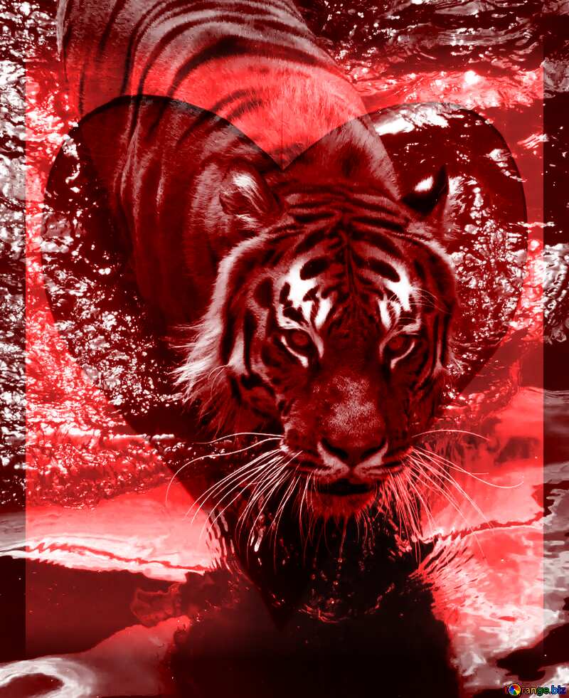 tiger Red heart frame №45016