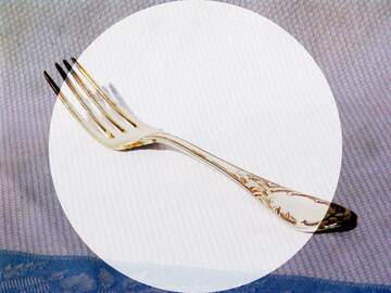 FX №159282 fork template