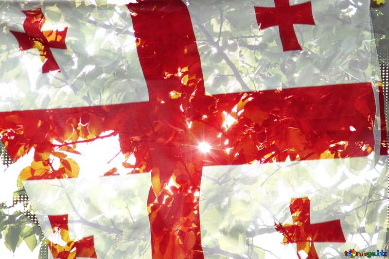 leaves on a flag, white and red georgian №1940