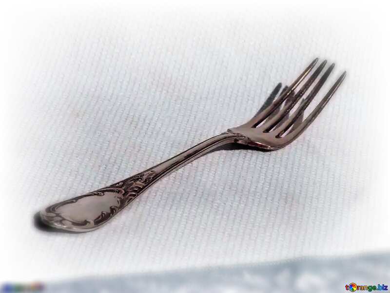 fork №3025