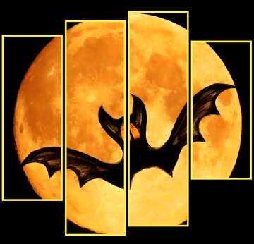 FX №16072 Halloween bat modular picture