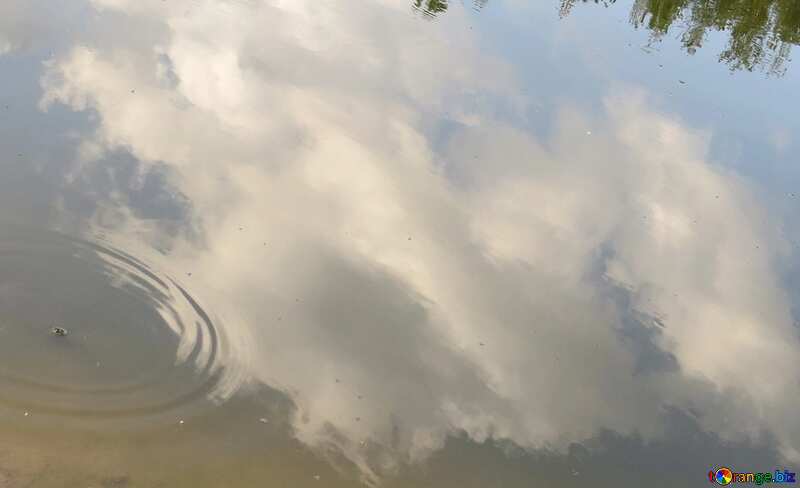 reflection of sky in water №39240