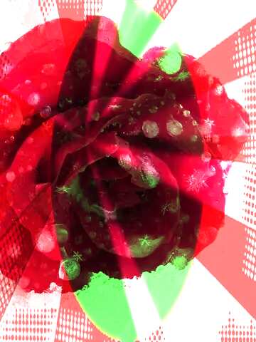 FX №162252 Snowflakes red rose Colors rays