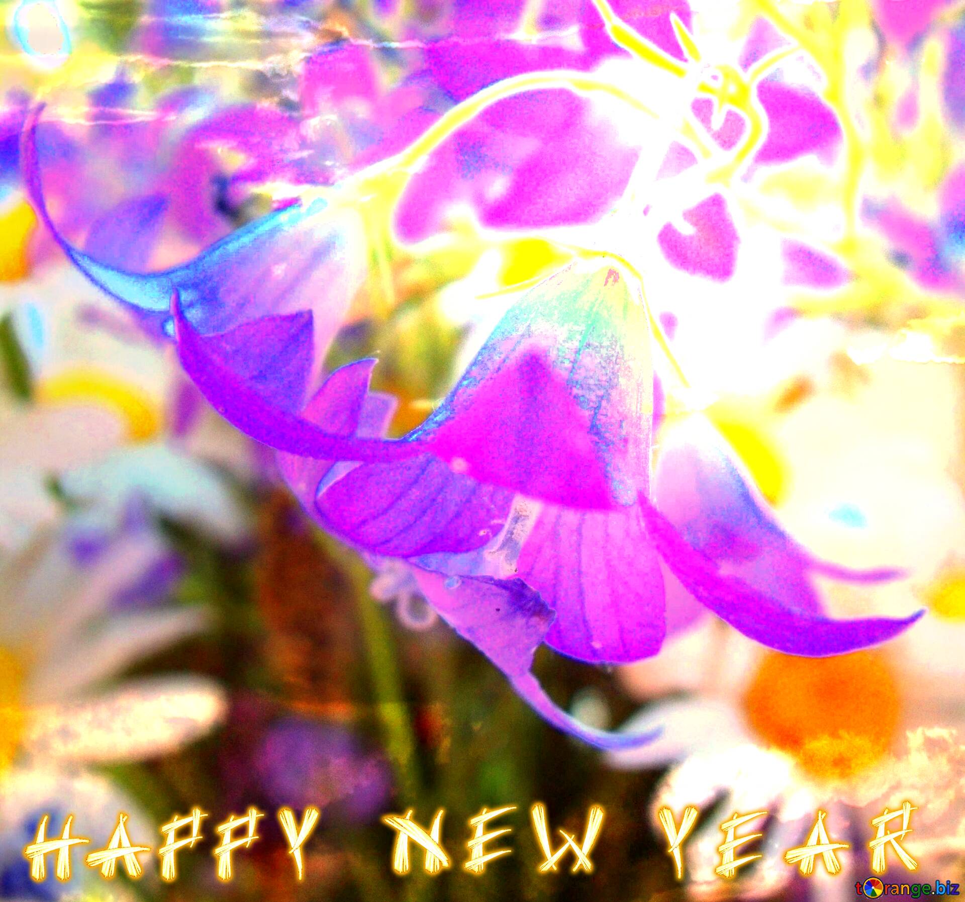 Download free picture gentle purple flowers happy new year card on CC ...