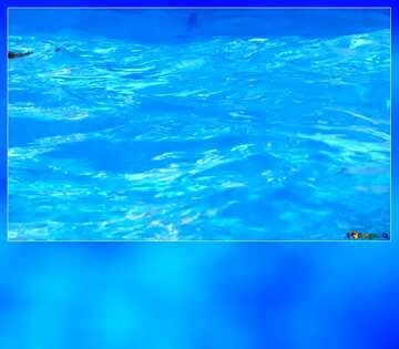 FX №164593 water blue