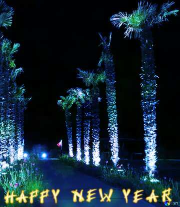 FX №165610 Palm trees at night happy new year