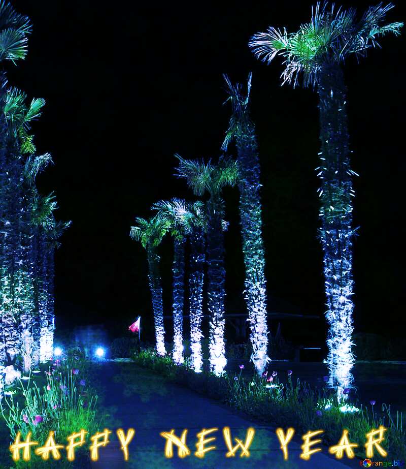 Palm trees at night happy new year №21110