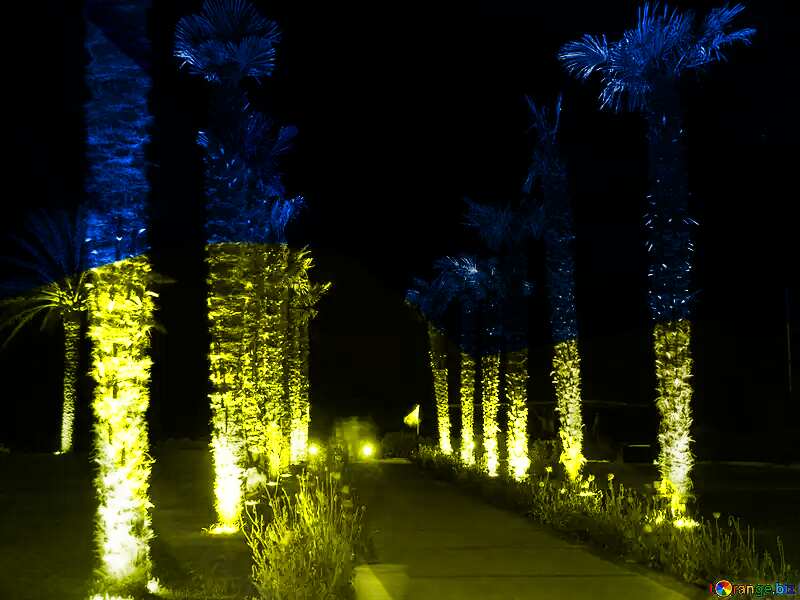  night palms road №21110