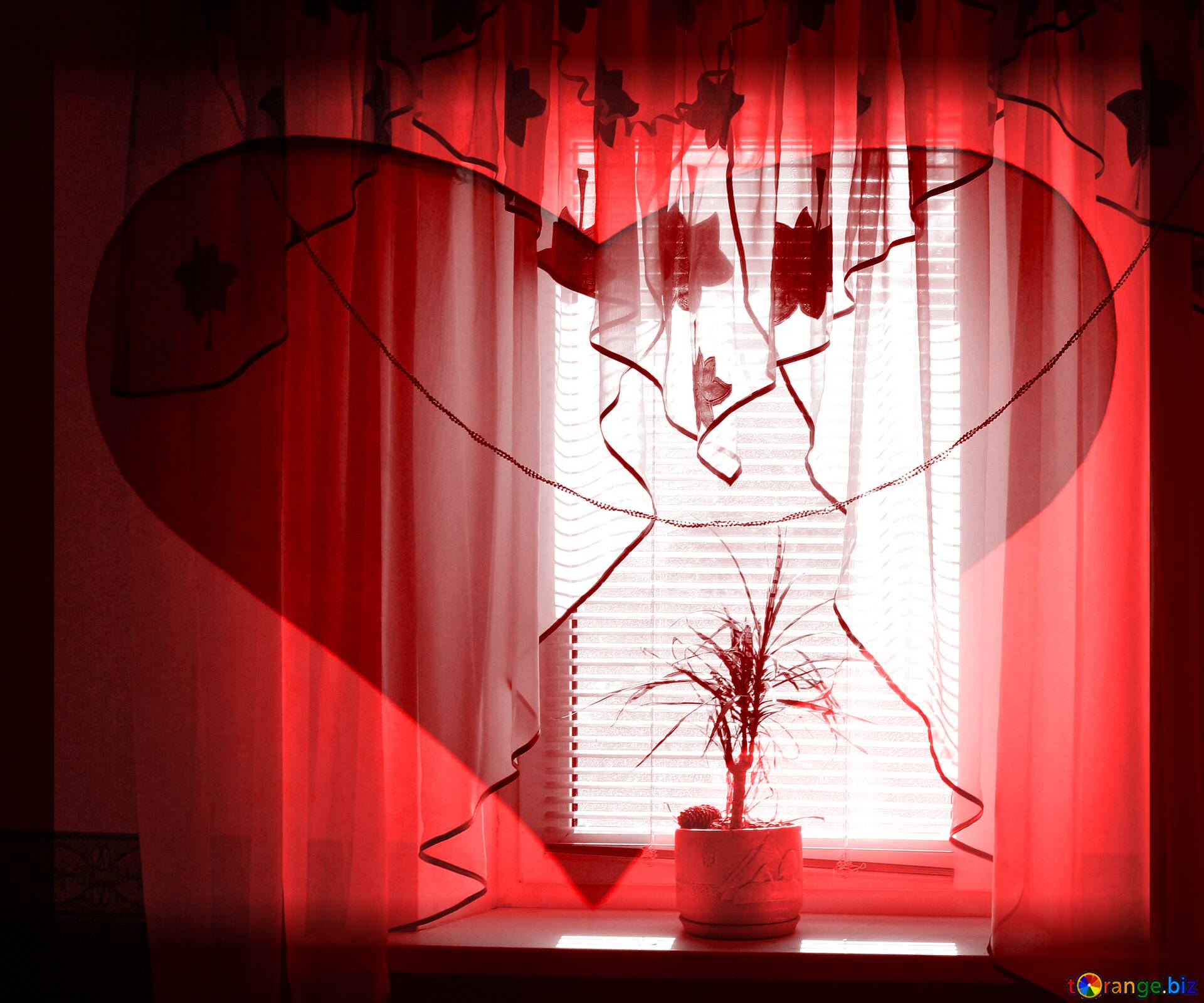 Download free picture Flower at window red heart background on CC-BY