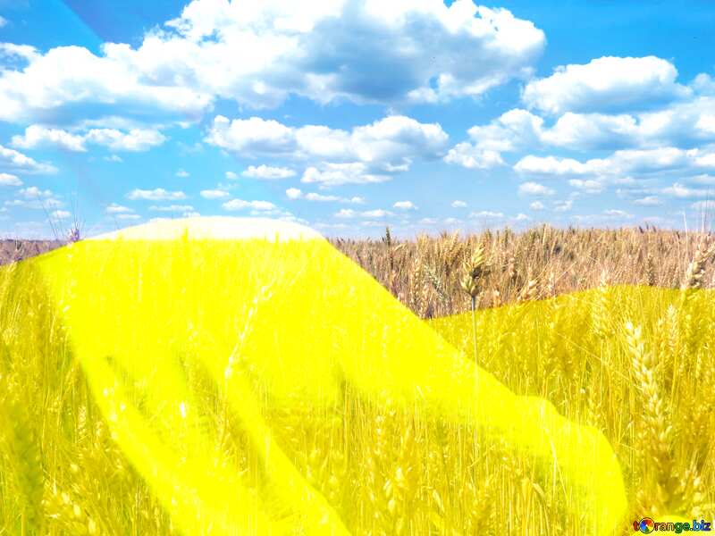 Ukrainian farming background №27245