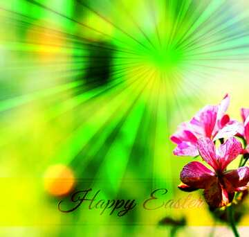 FX №169715 Beautiful indoor flower Inscription Happy Easter on Background with Rays of sunlight