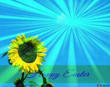 FX №169937  blue sky. Sunflower . Inscription Happy Easter on Background with Rays of sunlight
