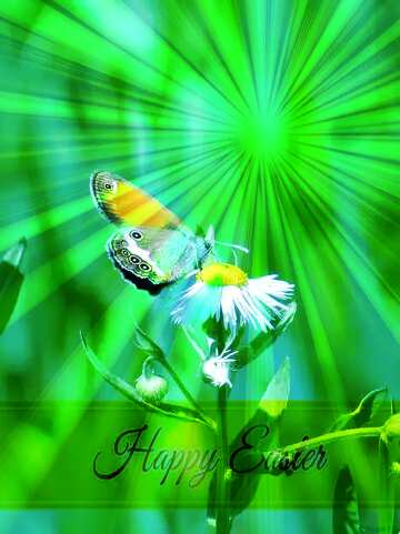 FX №169816 Butterfly on flower Inscription Happy Easter on Background with Rays of sunlight
