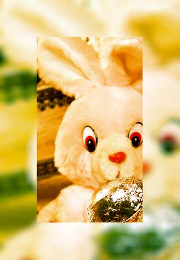 FX №169018 Card Easter bunny with chocolate egg