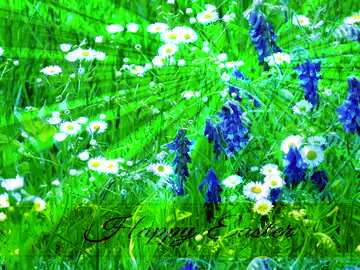 FX №169801 Desktop wallpaper wild flowers Inscription Happy Easter on Background with Rays of sunlight