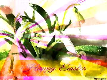 FX №169979 Early spring wallpaper Card with Happy Easter write text on Colors rays background