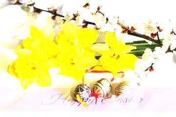 FX №169473 Easter background with flowers Happy Easter on pink ribbon