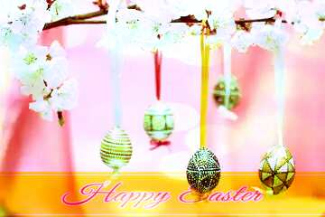 FX №169440 Branch of blossoming apricot with Easter egg Happy Easter card write text background