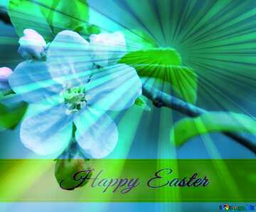 FX №169941 Flower apple. Macro Inscription Happy Easter on Background with Rays of sunlight