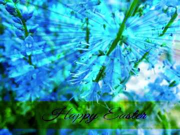 FX №169910 Flower  of the  Forest Inscription Happy Easter on Background with Rays of sunlight