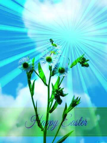 FX №169809 Flower on sky background Inscription Happy Easter on Background with Rays of sunlight