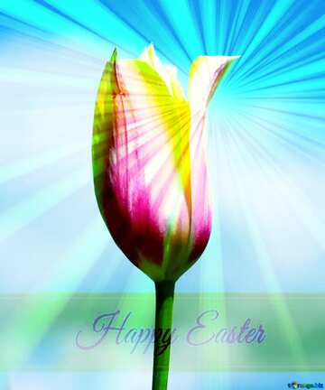 FX №169635 Flower of Tulip Inscription Happy Easter on Background with Rays of sunlight