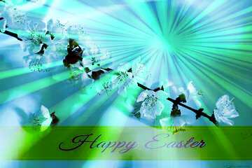 FX №169755 Flowering branch of tree Inscription Happy Easter on Background with Rays of sunlight