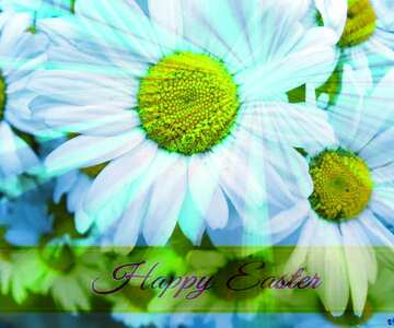 FX №169901 Flowers   large  chamomile Inscription Happy Easter on Background with Rays of sunlight