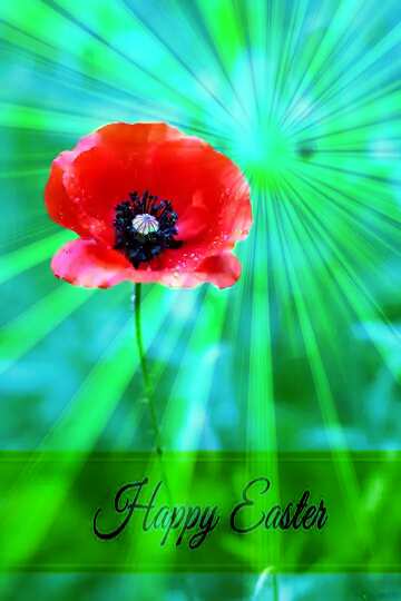 FX №169679 Poppy flower Inscription Happy Easter on Background with Rays of sunlight
