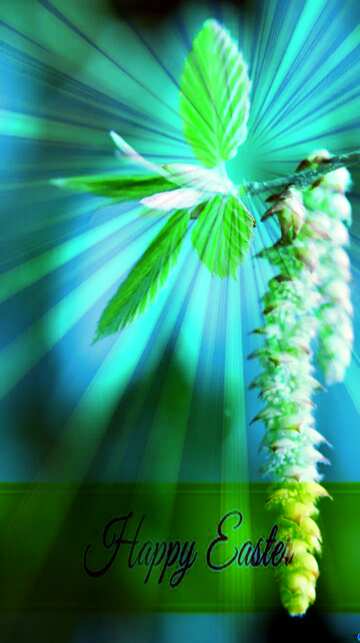 FX №169520 Spring birch catkin flower Inscription Happy Easter on Background with Rays of sunlight