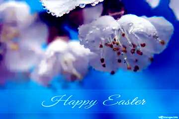 FX №169593 Spring wallpapers for desktop Blue card with Inscription Happy Easter