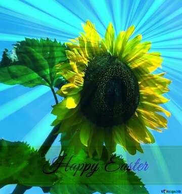 FX №169936  Sunflower  Inscription Happy Easter on Background with Rays of sunlight