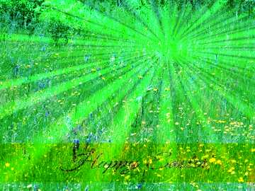 FX №169800 Texture with wild grass and flowers Inscription Happy Easter on Background with Rays of sunlight
