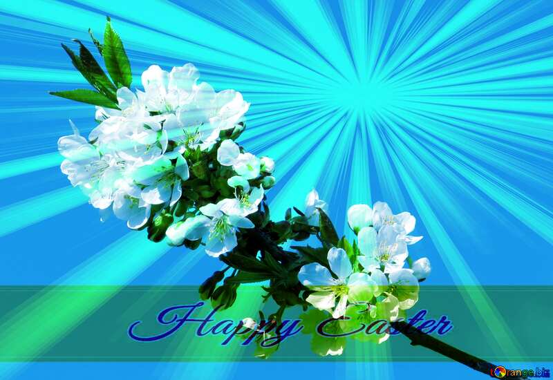 A branch of flowering tree Inscription Happy Easter on Background with Rays of sunlight №24423