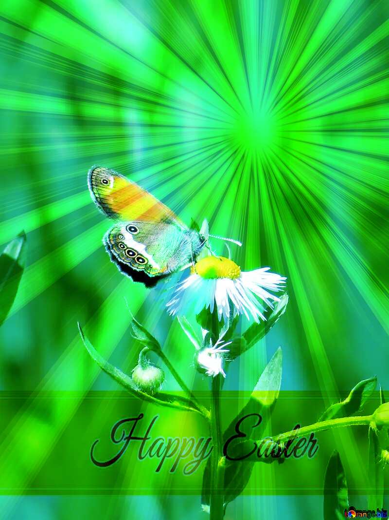 Butterfly on flower Inscription Happy Easter on Background with Rays of sunlight №24988