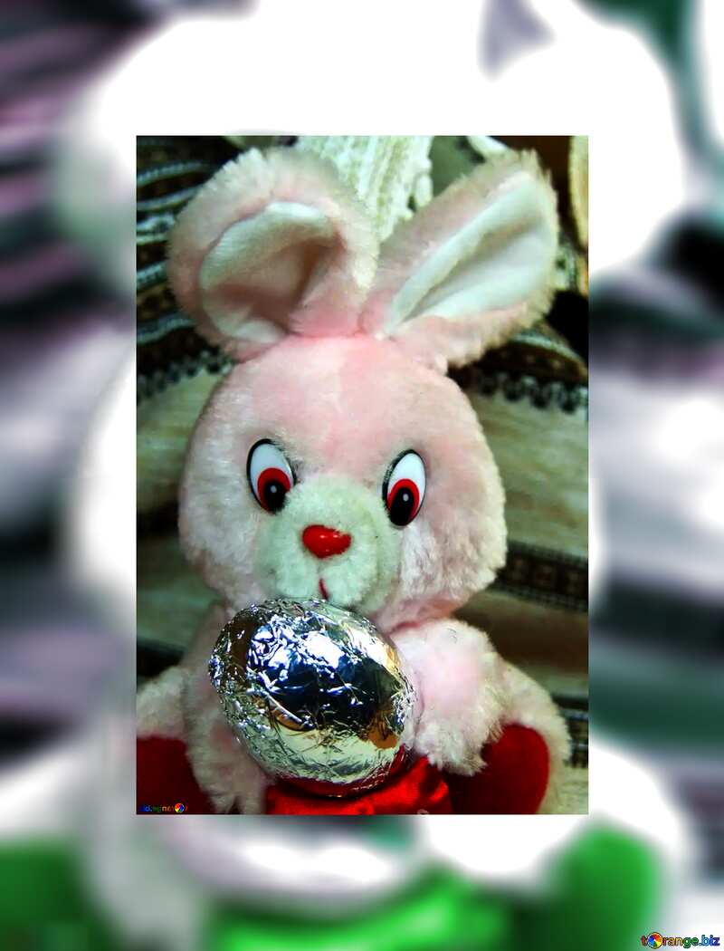 Easter rabbit  with chocolate egg in frame №4321