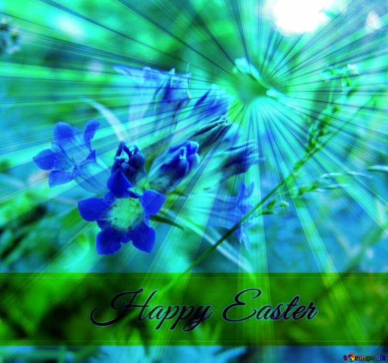  Blue flower blue flower flower  Inscription Happy Easter on Background with Rays of sunlight №3198