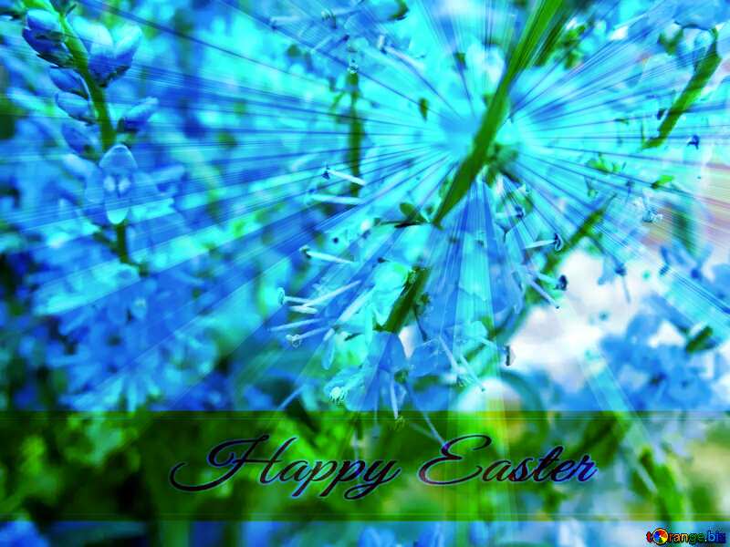 Flower  of the  Forest Inscription Happy Easter on Background with Rays of sunlight №9745