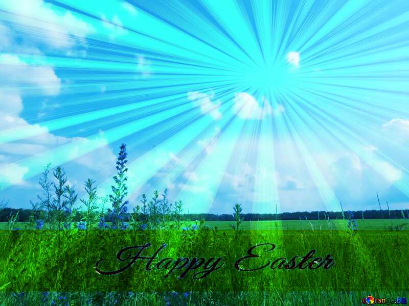 Flowering meadow Inscription Happy Easter on Background with Rays of sunlight №27339