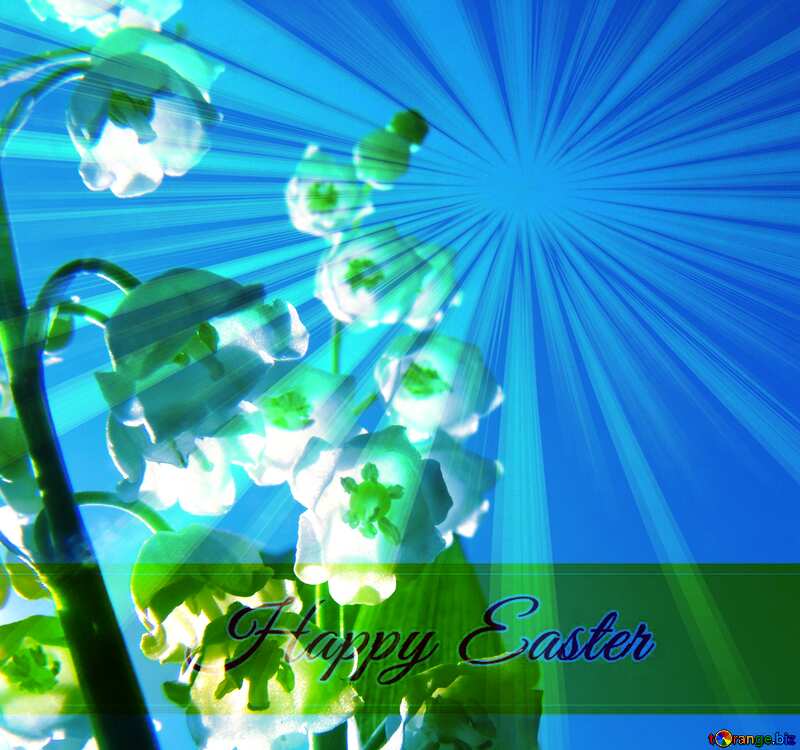 Flowers lily Inscription Happy Easter on Background with Rays of sunlight №5266