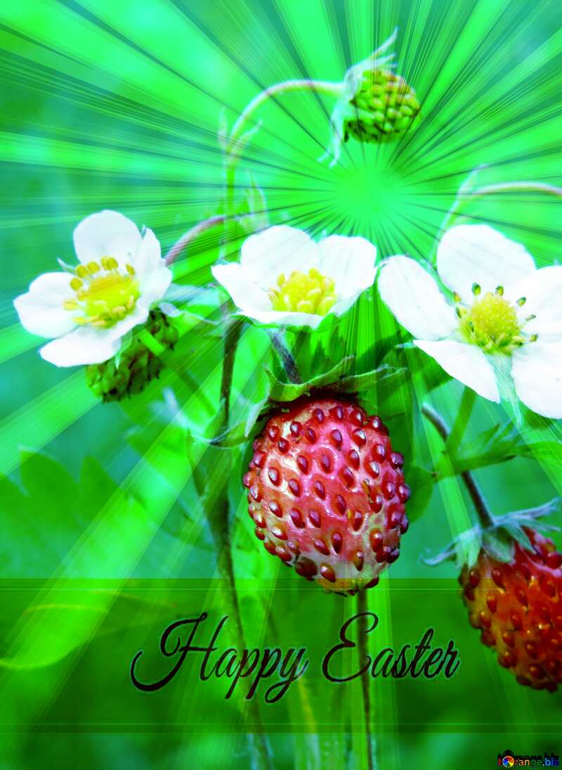 Flowers strawberries Inscription Happy Easter on Background with Rays of sunlight №29490
