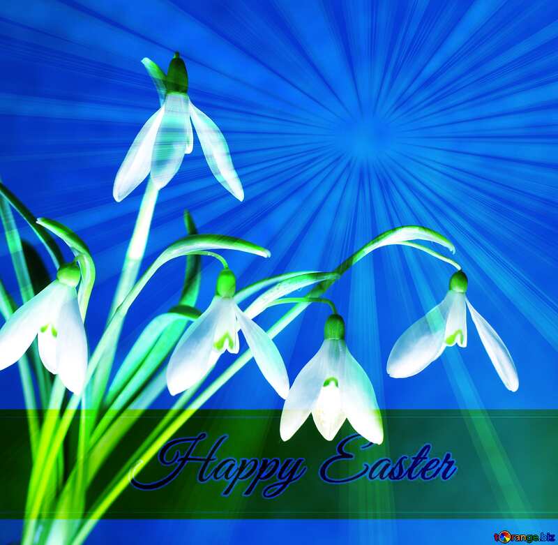 Free clip art flowers Inscription Happy Easter on Background with Rays of sunlight №38228