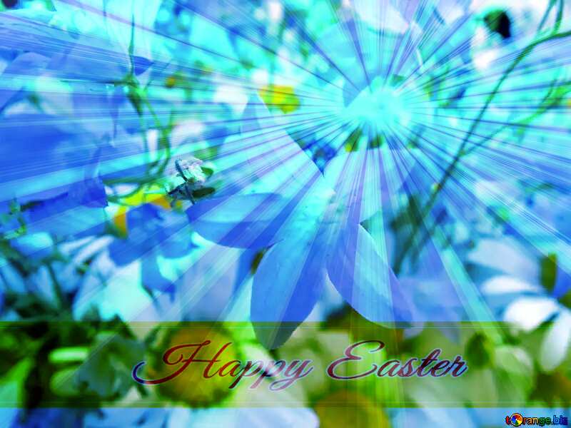 Garden  flowers. Inscription Happy Easter on Background with Rays of sunlight №9751