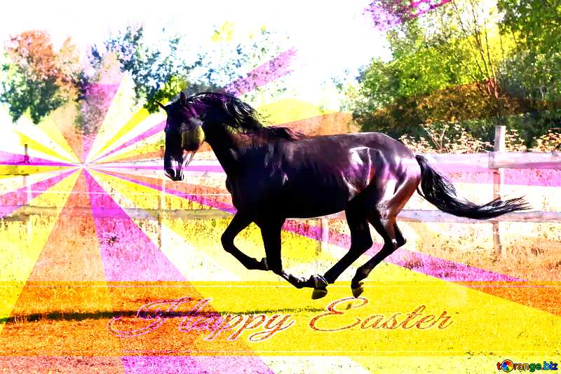 Happy Easter card with horse №36649