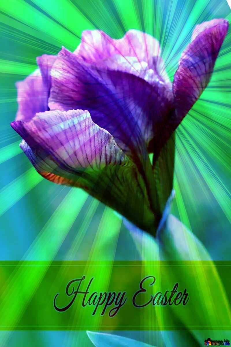 Iris flower bud Inscription Happy Easter on Background with Rays of sunlight №37687