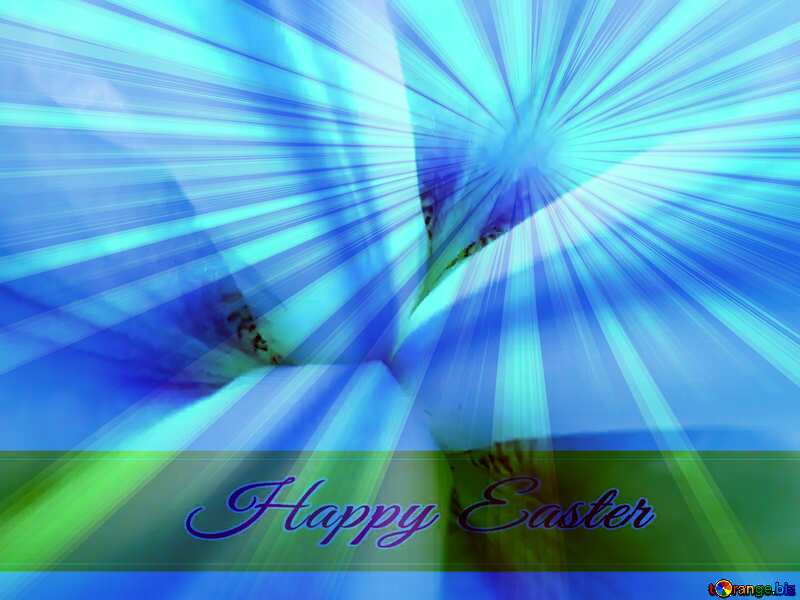 Macro flower background Inscription Happy Easter on Background with Rays of sunlight №46878