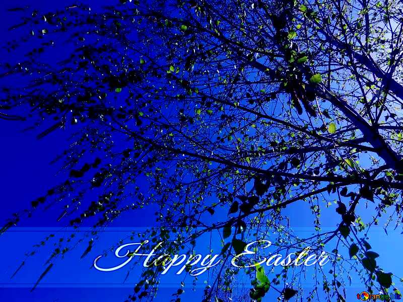 Spring Birch Blue card with Inscription Happy Easter №37190