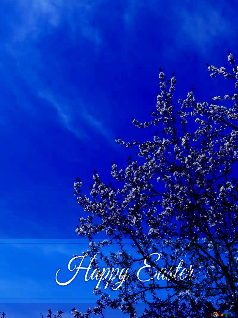 Spring Blue card with Inscription Happy Easter №24140