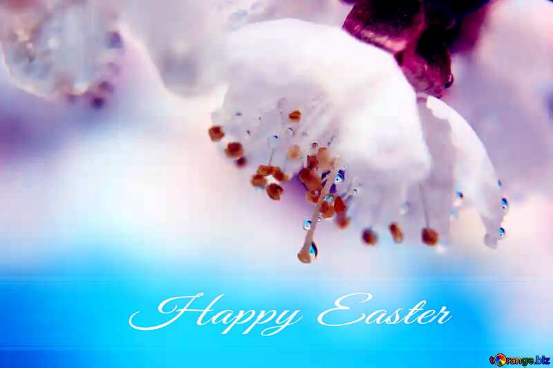Spring wallpaper Blue card with Inscription Happy Easter №29891